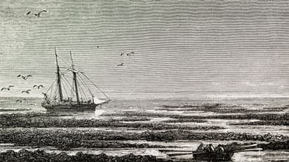 റോഡ് നിര്‍മ്മാണത്തിനിടെ കുഴിയെടുത്തപ്പോള്‍ കണ്ടത് 1800 കളിലെ ബോട്ട് ! 