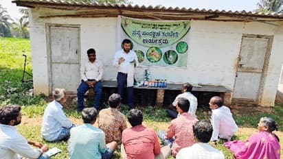 ಸುತ್ತೂರು : ಅವರೆ ಬೆಳೆಯಲ್ಲಿ ಕಾಯಿ ಕೊರಕ ನಿಯಂತ್ರಣ ತರಬೇತಿ