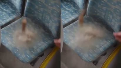 ബസിലെ സീറ്റില് ഇത്രയധികം പൊടി? ഈ വീഡിയോ കണ്ടാല് ശരിക്കും ഞെട്ടും!