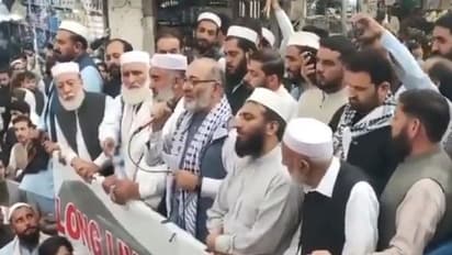 'Hamas' triumph inspires many': Pakistan senior senator Mushtaq Ahmed at anti-Israel march | WATCH