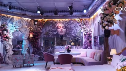 Boss Boss 17: Salman Khan's show has three houses, here's what each indicates