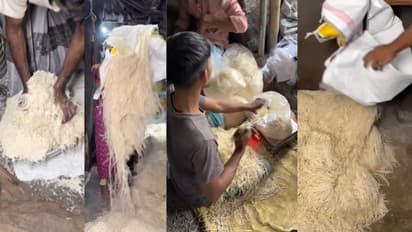 ഫാക്ടറിയില് നൂഡില്സ് തയ്യാറാക്കുന്ന ഈ വീഡിയോ കണ്ടാല്, അടുത്ത തവണ രണ്ടാമതൊന്ന് കൂടി ആലോചിക്കും!