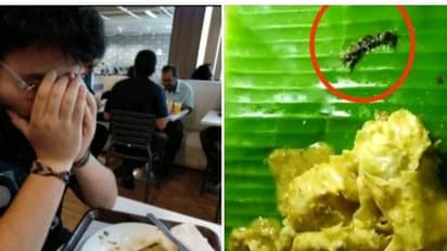 பிரபல ஓட்டல் பரோட்டா சால்னாவில் கிடந்த பூரான்..! அதிர்ச்சியில் உணவு பிரியர்கள்