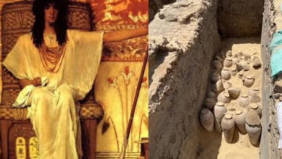 ഈ വൈനിന് പഴക്കം 5000 വർഷം, കണ്ടെത്തിയത് രാജ്ഞിയുടെ ശവകുടീരത്തിൽ, ചിത്രങ്ങൾ കാണാം