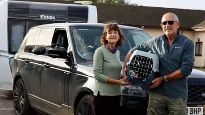 കാരവനിൽ ഒളിച്ചിരുന്നു, ദമ്പതികൾക്കൊപ്പം അവധിക്കാലമാഘോഷിക്കാൻ പോയി പൂച്ച, സഞ്ചരിച്ചത് 439 കിമി!