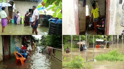 തലസ്ഥാനത്ത് മഴ ഒഴിഞ്ഞു,ദുരിതം ഒഴിഞ്ഞില്ല, 200 ഹെക്ടറിലേറെ കൃഷിനാശം,12 വീടുകള്പൂര്ണമായി തകര്ന്നു