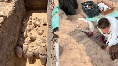 ಸಮಾಧಿಯಲ್ಲಿ ಪತ್ತೆಯಾಯ್ತು 5 ಸಾವಿರ ವರ್ಷಗಳಷ್ಟು ಹಳೆಯ ಸೀಲ್ಡ್ ವೈನ್ ಜಾರ್