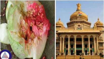 ದಸರಾ ಆಯುಧ ಪೂಜೆಗೆ ಅರಿಶಿಣ, ಕುಂಕುಮ ಹಾಗೂ ರಂಗೋಲಿ ನಿಷೇಧಿಸಿದ ಸರ್ಕಾರ!