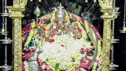 ಚಿಕ್ಕಮಗಳೂರು: ಶೃಂಗೇರಿ ಶಾರದೆಗೆ ಮಯೂರ ವಾಹನಾಲಂಕಾರ, ಅನ್ನಪೂಣೇಶ್ವರಿಗೆ ಮೃಗಾರೂಢ ಕೂಷ್ಮಾಂಡ  ಅವತಾರ