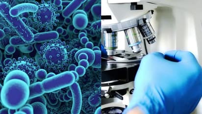 തിരുവനന്തപുരത്ത് സെന്റര് ഓഫ് എക്സലന്സ് ഇന് മൈക്രോബയോം സ്ഥാപിക്കും; കൊവിഡിന് ശേഷം ഏറെ പ്രസക്തം