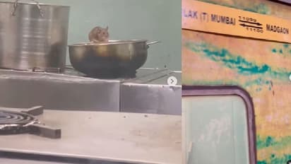 ರೈಲಿನ ಕಿಚನ್ನಲ್ಲಿ ಇಲಿಗಳ ಬಿಂದಾಸ್ ಆಟ: ಆಹಾರದ ಮೇಲೆಲ್ಲಾ ಓಡಾಟ: ವೀಡಿಯೋ