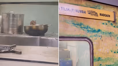 Shocking video reveals rat infestation in train pantry; railways reacts (WATCH)