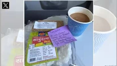 'ದೇವಿ ಯಾವ ರೂಪದಲ್ಲಿ ಬೇಕಾದರೂ ಬರಬಹುದು..' ಇಂಡಿಗೋ ಗಗನಸಖಿ ಸಹಾಯ ಮೆಚ್ಚಿದ ಐಪಿಎಸ್ ಅಧಿಕಾರಿ!