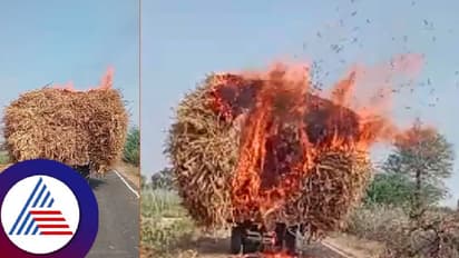 ವಿದ್ಯುತ್ ತಂತಿ ತಗುಲಿ ಟ್ರ್ಯಾಕ್ಟರ್ನಲ್ಲಿದ್ದ ಒಣಮೇವು ಸುಟ್ಟು ಭಸ್ಮ!