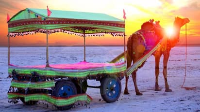 Amazing Dhordo in PHOTOS: Why PM feels Kutch village is a must-visit tourist destination
