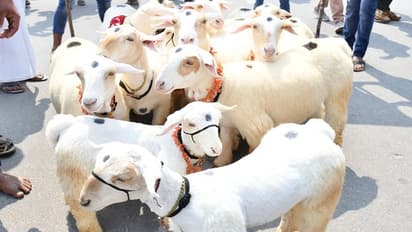 ವಿಶ್ವವಿಖ್ಯಾತ ಮೈಸೂರು ದಸರೆಯಲ್ಲಿ ರೈತರ ದರ್ಬಾರ್...!