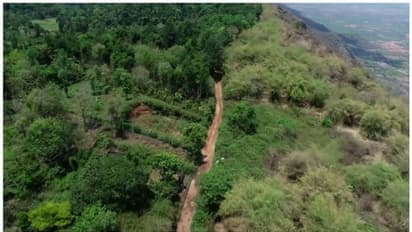 സർക്കാർ ഭൂമി വ്യാജപട്ടയം ചമച്ച് മറിച്ചു വിറ്റ കേസ്; അന്വേഷണം വിജിലൻസിന് കൈമാറി