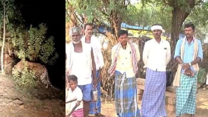 Chitradurga: ಚಿಕ್ಕಗೊಂಡನಹಳ್ಳಿ ಗ್ರಾಮದಲ್ಲಿ ಚಿರತೆ ಪ್ರತ್ಯಕ್ಷ: ಜನರಲ್ಲಿ ಮೂಡಿದ ಆತಂಕ!