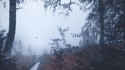 ഈ മാസങ്ങളില് നിങ്ങള് എപ്പോഴും വിഷാദത്തിലാകാറുണ്ടോ?