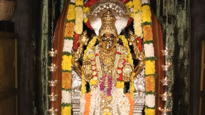 ಚಿಕ್ಕಮಗಳೂರಲ್ಲಿ ನವರಾತ್ರಿ ಸಂಭ್ರಮ: ಭಕ್ತರಿಗೆ ದರ್ಶನದ ಭಾಗ್ಯ ನೀಡಿದ ಶೃಂಗೇರಿ ಶಾರದೆ, ಅನ್ನಪೂಣೇಶ್ವರಿ..!