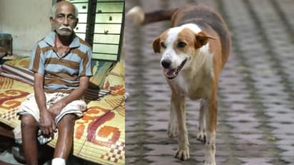 ചായക്കടയടച്ച് വീട്ടിലേക്ക് മടങ്ങുന്നതിനിടെ വയോധികനെ തെരുവുനായ ആക്രമിച്ചു, രക്ഷപ്പെടുത്തിയത് നാട്ടുകാർ