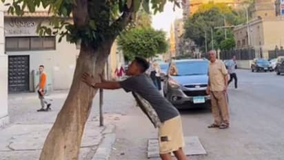 പണം പൊഴിക്കുന്ന മരം, നോട്ടുകൾ പെറുക്കിയെടുത്ത് യുവാവ്, എന്നാൽ പിന്നെ സംഭവിച്ചത്... 