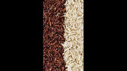 రెడ్ రైస్ ను ఎందుకు తినాలో తెలుసా?