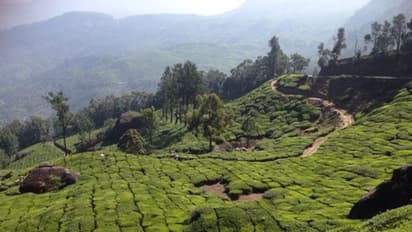 ബൈസണ്വാലിയെ ഉടുമ്പന്ചോലയില് നിന്ന് 'ഒഴിവാക്കി', ഇനി ദേവികുളത്തിന് സ്വന്തം