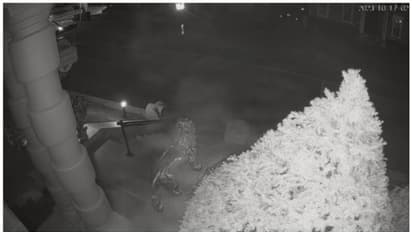 സിസിടിവി ക്യാമറയില്‍ 'പ്രേതം', അലാറം മുഴങ്ങിയതിന് പിന്നാലെ കാര്യമന്വേഷിച്ച് പോലീസ്; വീഡിയോ പുറത്ത് വിട്ടു ! 