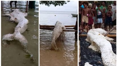 'ജലകന്യക'യോ, പാപ്പുവ ന്യൂ ഗിനിയയിന് തീരത്ത് അടിഞ്ഞത്? ഉത്തരമില്ലാതെ ശാസ്ത്രലോകം !