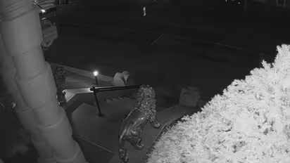 Spooky! US restaurant claims 'ghost' triggered its motion detector alarms; shares video (WATCH)