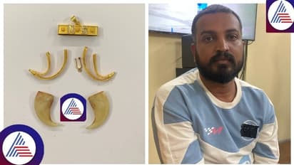 ಹುಲಿ ಉಗುರು ಲಾಕೆಟ್‌  ಪ್ರಕರಣ,  ವರ್ತೂರು ಸಂತೋಷ್ ಗೆ ಜಾಮೀನು ಮಂಜೂರು