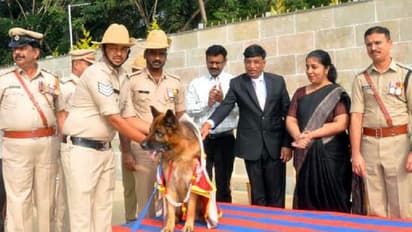 10 ವರ್ಷಗಳಿಂದ ಪೊಲೀಸ್ ಇಲಾಖೆಯಲ್ಲಿ ಸಿಂಹ ಸ್ವಪ್ನವಾಗಿದ್ದ ಶ್ವಾನ ಟಿಪ್ಪುವಿಗೆ ಭಾವನಾತ್ಮಕ ಬೀಳ್ಕೊಡುಗೆ!