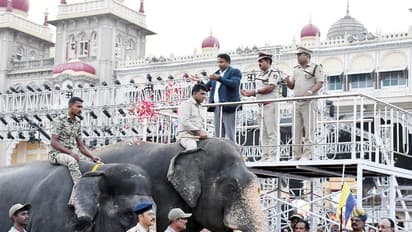 Mysuru Dasara 2023: Captain Abhimanyu to carry Ambari for 4th consecutive time