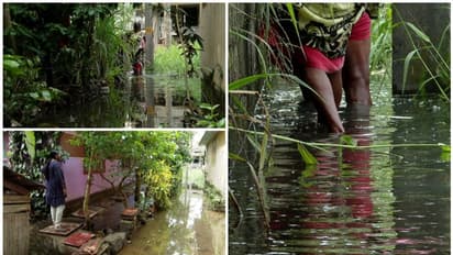3 families in Kerala's capital live next to a waterhole full of toilet waste