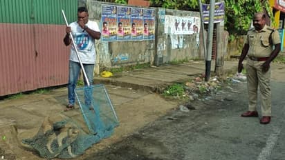 തെരുവുനായ് ഭീതിയിൽ നാട്; ഇടക്കൊച്ചിയിൽ ആറുപേർക്ക് പരിക്ക്, മലയാറ്റൂരിൽ 5വയസുകാരനെ ഓടിച്ചിട്ട് ആക്രമിച്ചു