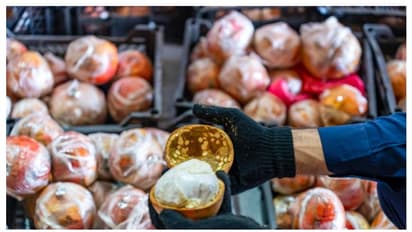 കര്ശന പരിശോധന; മാതളനാരങ്ങയ്ക്കുള്ളില് ഒളിപ്പിച്ച് കടത്താന് ശ്രമിച്ച 900,000 ലഹരി ഗുളികകള് പിടികൂടി