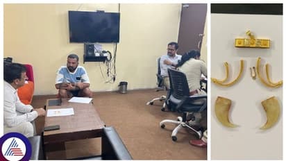 ವರ್ತೂರು ಸಂತೋಷ್‌ ಬಂಧನ ಬೆನ್ನಲ್ಲೇ ಅರಣ್ಯ ಅಧಿಕಾರಿಗಳ ಮೇಲೆ ಹಲವು ಅನುಮಾನ!