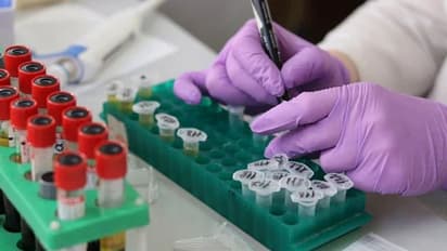 Suspected Chandipura virus outbreak claims young lives in THIS state: Here's what you should know