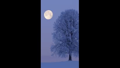  శరద్ పూర్ణిమ ఆ రోజే..! పూజ ఎలా చేయాలో తెలుసా?