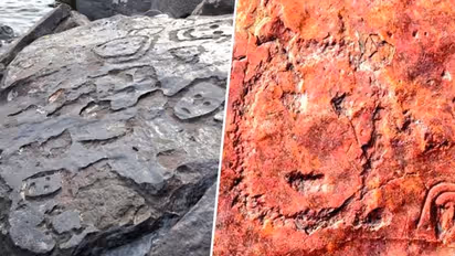 'Look like emojis': Amazon river drought reveals 2,000-year-old human faces carved in stone (WATCH)