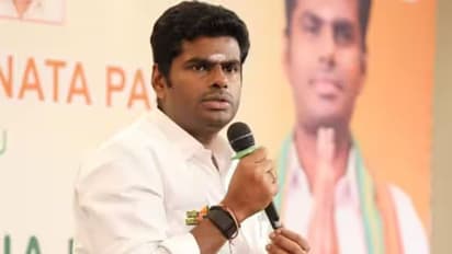 ரவுடிகளை வைத்து கட்சி நடத்தும் திமுக; மக்கள் திருப்பி அடித்தால் கட்சி காணாமல் போய்விடும் - அண்ணாமலை எச்சரிக்கை