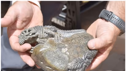 എട്ട് കോടി വിലവരുന്ന ദിനോസര് അസ്ഥികള് ചൈനയ്ക്ക് മറിച്ച് വിറ്റ നാല് യുഎസ് പൗരന്മാര് അറസ്റ്റില്