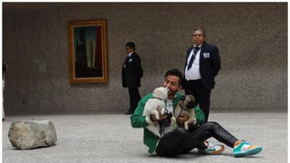 നായ്ക്കള്‍ക്കും അവരുടെ യജമാനന്മാര്‍ക്കുമായി ഒരു ചിത്രപ്രദര്‍ശനം !