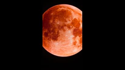 ವರ್ಷದ ಮೊದಲ ಚಂದ್ರಗ್ರಹಣ 5 ರಾಶಿಗೆ ಅದೃಷ್ಟ, ಸಂತೋಷ