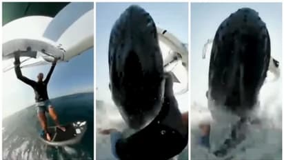 ഭാഗ്യം കൊണ്ട് രക്ഷപ്പെട്ടു ; സർഫിംഗിനിടെ തിമിംഗലം ഇടിച്ച് കടലിലേക്ക് മറിയുന്ന സർഫിംഗ് താരത്തിന്റെ വീഡിയോ !