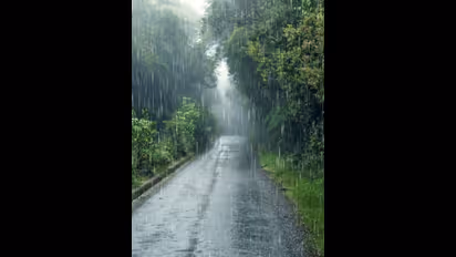 Kerala: Heavy rains to lash in the state today; yellow alert in 3 districts