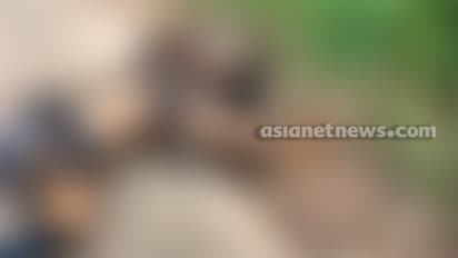 സിപിഎം ലോക്കൽ സെക്രട്ടറിമാര് സഞ്ചരിച്ച ബൈക്കിൽ ടോറസ് ലോറിയിടിച്ചു, ഒരാൾ മരിച്ചു