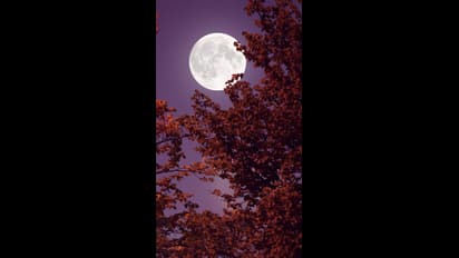 ఫిబ్రవరిలో పౌర్ణమి ఎప్పుడంటే? 