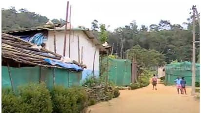 ഇടമലകുടി ഇനി 4ജി; ഇന്റർനെറ്റും മൊബൈൽ റേഞ്ചുമെത്തി, വാട്ട്സ് ആപ്പ് ഗ്രൂപ്പ് ഉണ്ടാക്കി ആഘോഷിച്ച് നാട്ടുകാർ